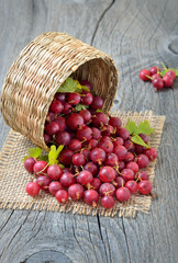 Gooseberries in wicker basket