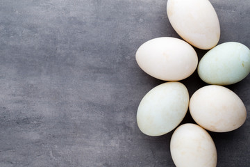  Duck eggs on a cage gray background.