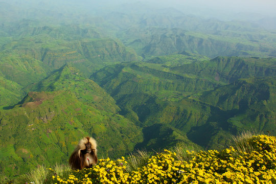 View of ethiopian  Siemen Mountains
