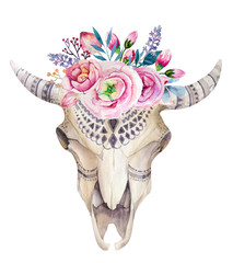 Fototapety  Akwarela krowa czaszka z ozdobą kwiatów i piór. Boho