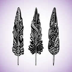 Set Of Graphic Feathers