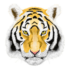 Raster Portrait of a Tiger. Beautiful face big cat.