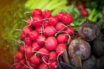 Fresh radish at the marketplace