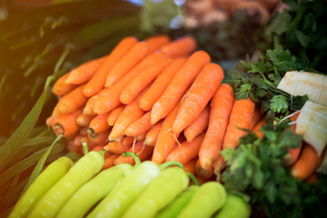 Fresh Organic Carrots