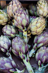 Obraz premium Karczochy