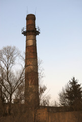 Plant chimney
