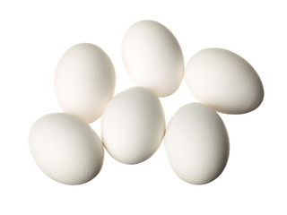 six eggs displayed on white.
