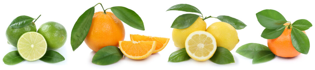 Collage Orangen Zitrone Mandarine bio Früchte in einer Reihe Fr