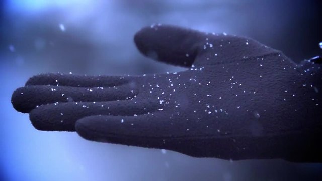 snow falls on a black glove