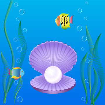 shell with pearls seaweed and fish