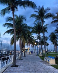 Obraz premium coconut grove cityhall marina