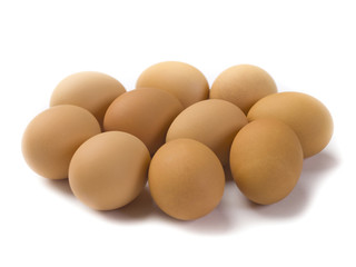 brown egg on a white background
