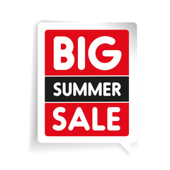 Big summer sale vector