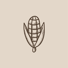 Corn sketch icon.