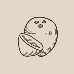 Coconut sketch icon.