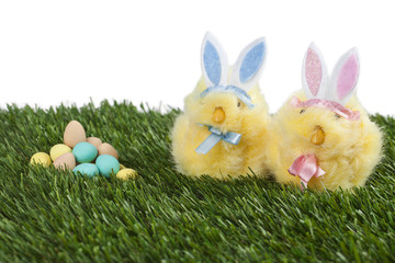  easter yellow bunnies