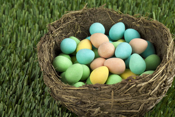 colorful eggs in nest