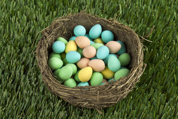 easter eggs on the nest
