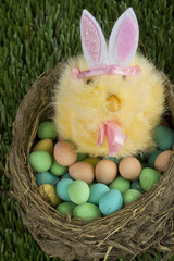 nest with easter eggs and bunny