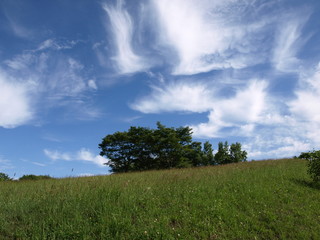 Fototapeta premium 夏の丘の風景