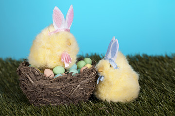two colored rabbits with colorful eggs in nest