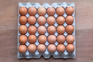 Chicken Egg Trays