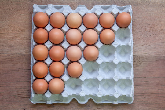 Chicken Egg Trays