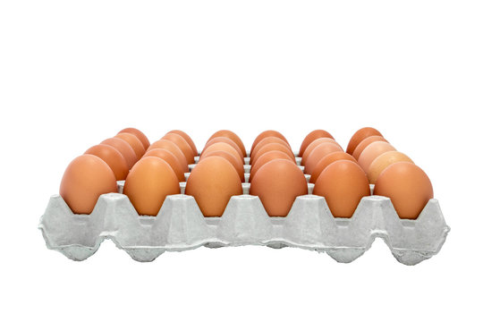 Chicken Egg Trays.