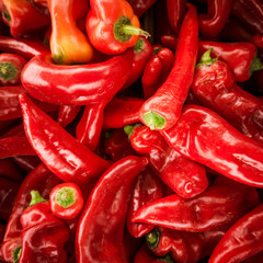 Red chili pepper background. many red peppers