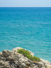 Tough Grass on Rough Rocks by Blue Mediterranean Sea in Summer
