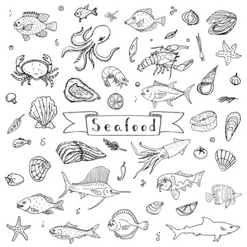 Hand drawn doodle Seafood icons set Vector illustration seafood symbols collection Cartoon fish Crab Seafood platter Lobster Oyster Shrimp Shellfish Shrimp on white background for your menu or design