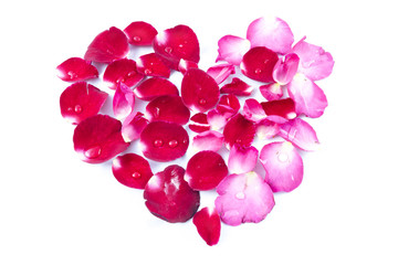 Rose petals Heart Shape isolated on white background