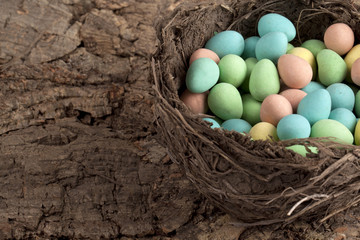 nest with colorful easter eggs
