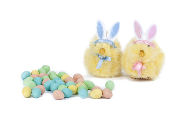 bunny couple with colorful eggs