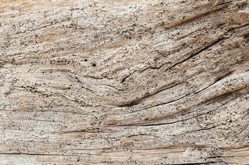Grunge of wood texture