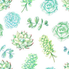 Seamless pattern with succulents and plants