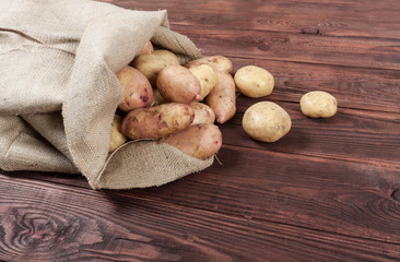 Harvest potatoes in burlap sack on wooden background