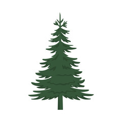 Pine Tree