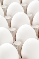 eggs in packing on a white background