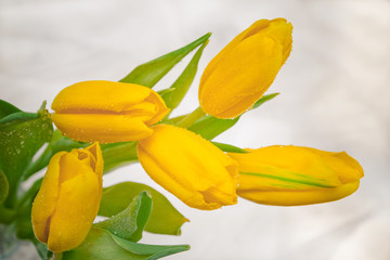 a bouquet of yellow tulips