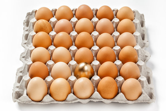 golden egg in a row of the brown eggs