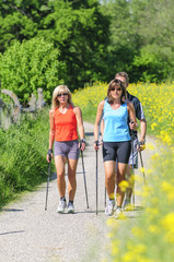 Raus ins Grüne zum Nordic Walking