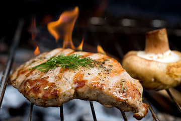 chicken fillets on the barbecue