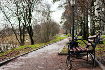 bench in the city spring