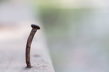 Rusted nails on old wooden