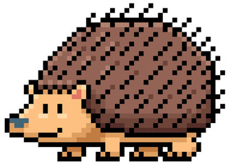 Vector illustration of Hedgehog - Pixel design