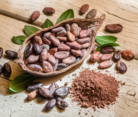 Cocoa powder and cocao beans on the wooden table.