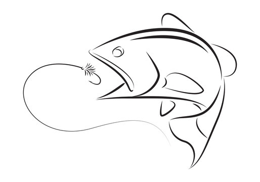 illustration fishing, vector