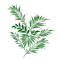 Palm leaves. Doodle style