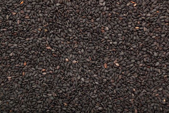 Black sesame seed